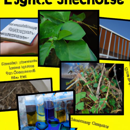 environmental-science-in-high-school-a-comprehensive-overview-the