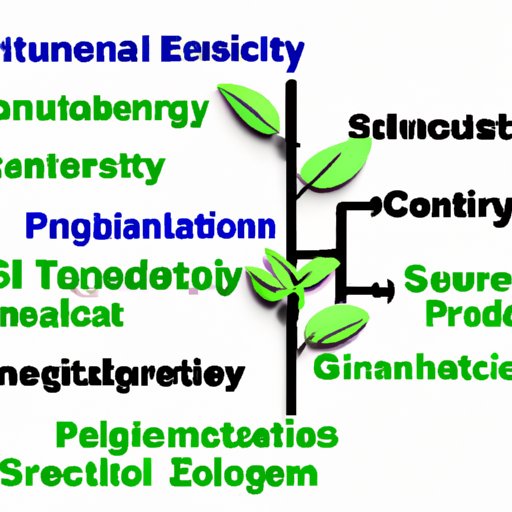 Sustainability In Science: Exploring The Principles, Benefits And ...