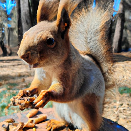 What Nuts Do Squirrels Eat? A Comprehensive Guide - The Enlightened Mindset