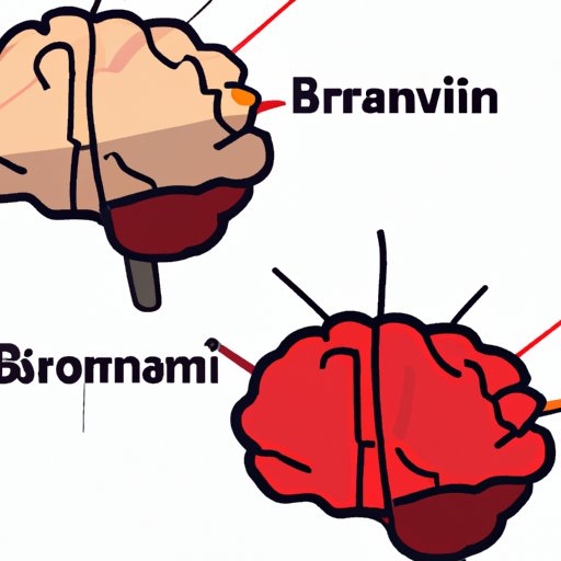 What Part Of The Brain Controls Creativity