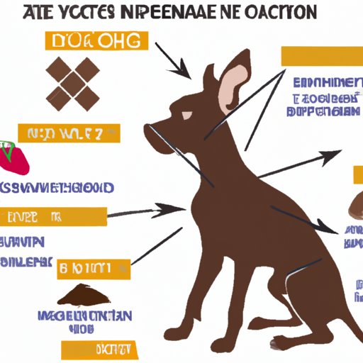 what-to-do-if-your-dog-eats-chocolate-a-guide-to-treating-chocolate