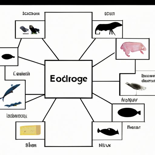 exploring-the-journey-of-energy-and-matter-through-a-food-chain-or-web