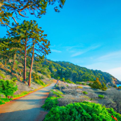 the-ultimate-guide-to-vacationing-in-california-where-to-go-and-what