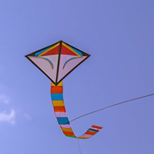 Who Invented the Kite? Exploring the History and Evolution of Kite ...